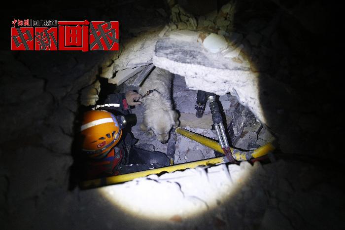汪汪隊立大功！廢墟中尋找生命之光的搜救犬