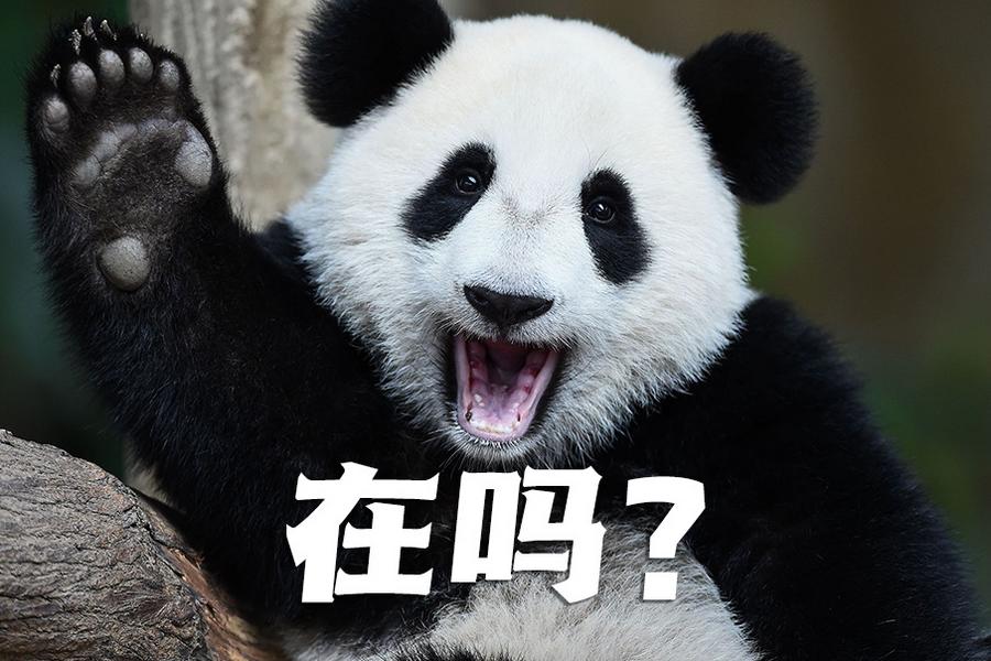 【世界微笑日特刊】嘿嘿，今天你笑了嗎？